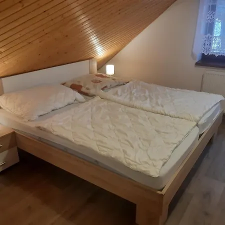 Apartment Roudnice